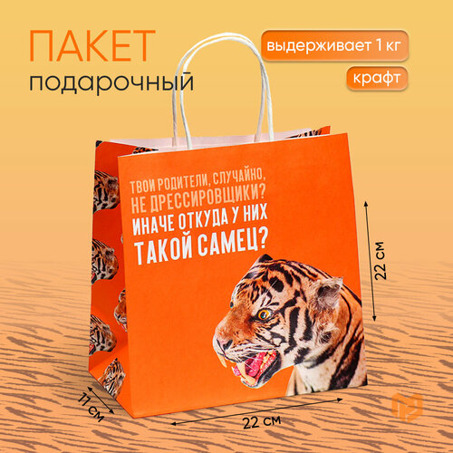 ���� ����� ���������� ������� �������, 22 � 22 � 11 �� ������ ������