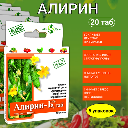 ���� ����������������� �������� ������ � �������� �� ������ ������ ����� ��������� ���� ����������� 20 �������� 5 �� ������ ������