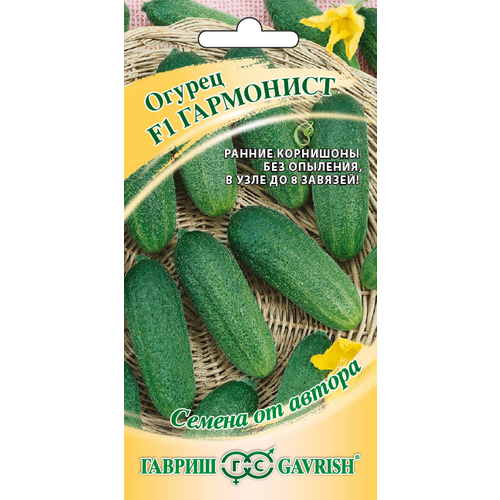 ���� ������ ������ ��������� F1 10 �� ������������������ (������) ����� ������ ������