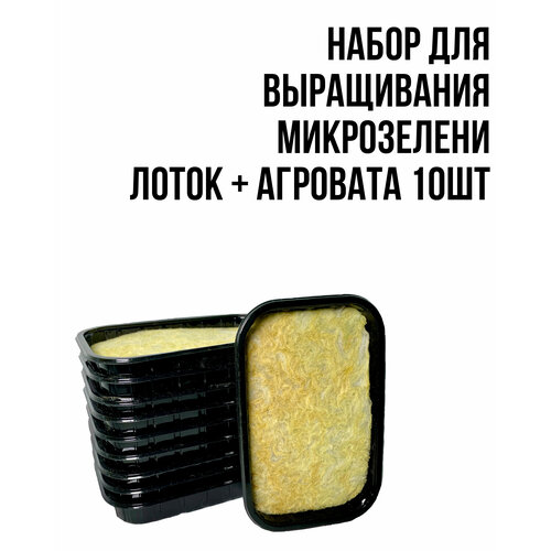 ���� ����� ��� ����������� ���������� (��������+�����) 10�� ������ ������