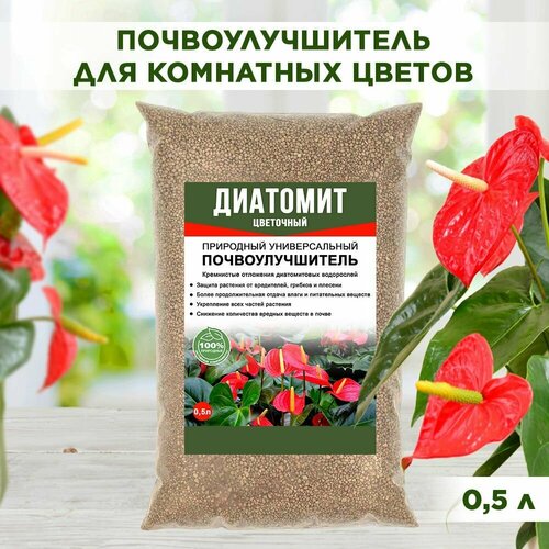 ���� �������� ������� ��������������� ��������� ��������� ��� ������ 0,5� ������ ������