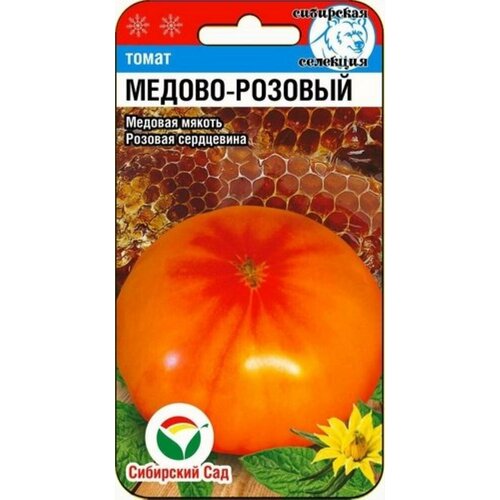 ���� ������ ����� ������-������� 20�� ����� (��������� ���) ������ ������