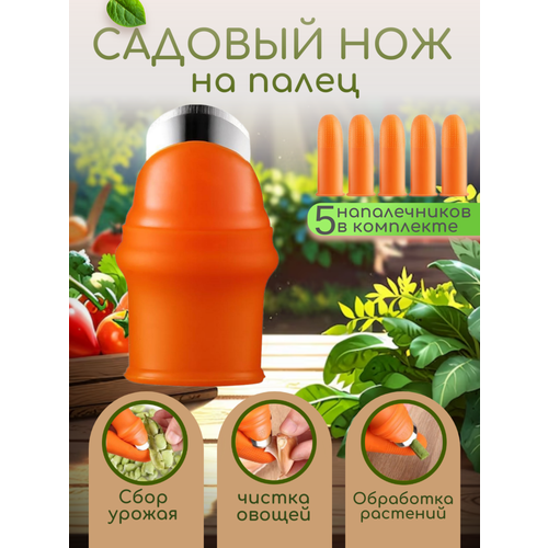 ���� ������� ��� ���������� ����������� � �������� �������, 6 ��������� ������ ������