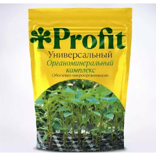 ���� Profit ������������� ����������������� �������� 1� ������ ������