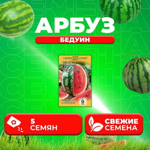 ���� ����� 