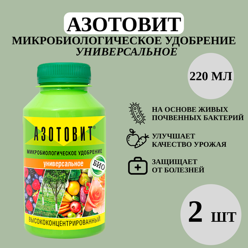 ���� ��������, 2 �� �� 220 �� ������ ������