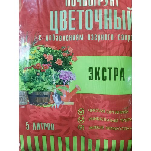 ���� ����� ��� ������ ����� ����� � ����������, 5 � ������ ������