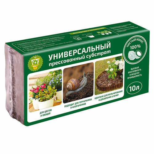 ���� �������� Garden Show ������������� ��������� 10 � ������ ������