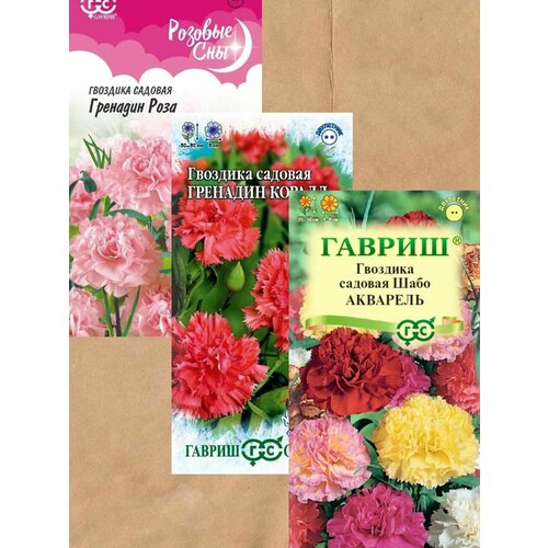 ���� ������ �������� ������� 