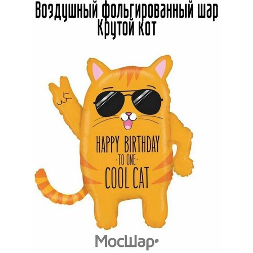 ���� ��������� ��� �������������� ������ ���, 84 ��, ������ ������ ������