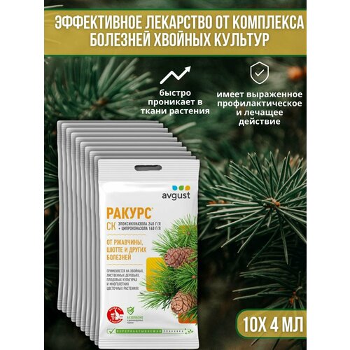 ���� �������� �� �������� ������� ��������, ��������� ��� ������ � �����, ��������� ������ 4 �� 10 �� ������ ������