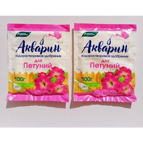 ���� ������� ��� ������� ���������������, 2*100� ������ ������