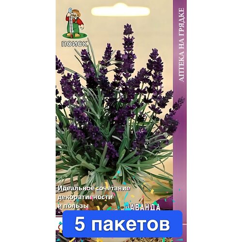 ���� ������ ������ � ��������� ����� 