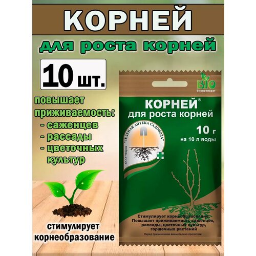 ���� �������� ��� ���������� ����� ������ ������ 10 �. ������ ������