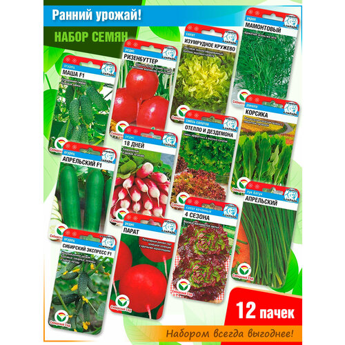 ���� ����� ����� 