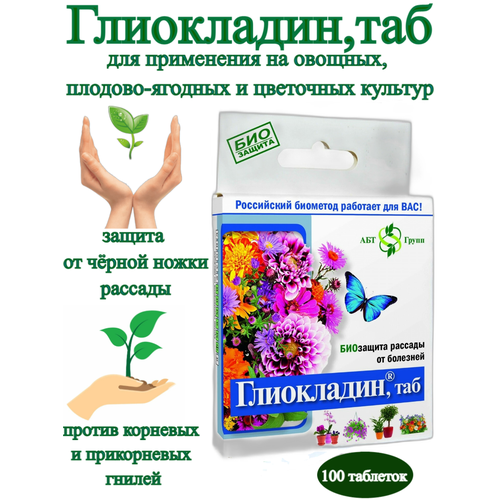 ���� ���������� - �������� ������ ������ ����� � �������� ����� ��� ������ � ������� ������ ������