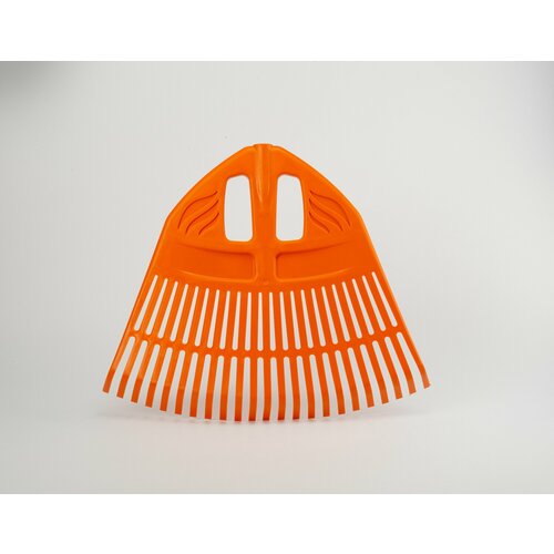 ���� ������ ������� ����������� 23 ���. �������� ������ ������