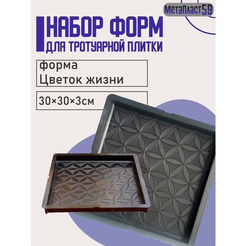 ���� ����� ��� ������ 