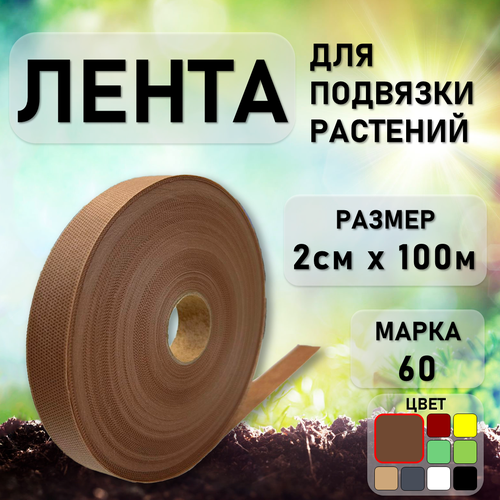 ���� ����� ������� ��� �������� �������� � �������� 20��*100� ���������� ������ ������