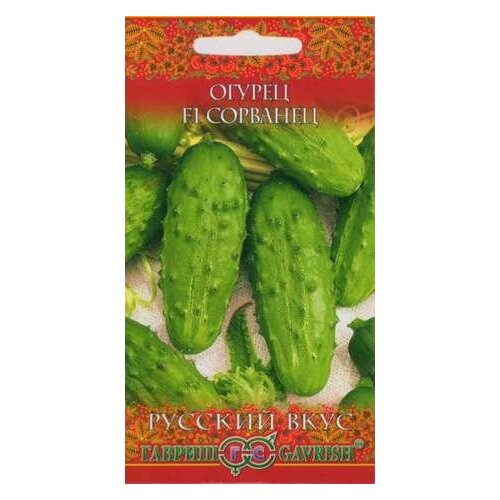 ���� ������ ������ �������� F1 0,3� (������) ������� ���� ������ ������