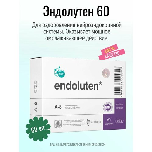 ���� ��������� N60 (���) ������ ������