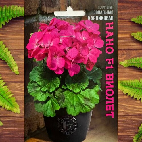 ���� ������ ������ ��� ���� � ���� ���������� ��������� F1 ������ ������ ������