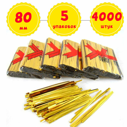 ���� 4000 ���������-�������� ������ 80 �� ����������� ����� ��� �������, �������� �������, �������� ��� ������ (5 �������� �� 800 ��) ������ ������