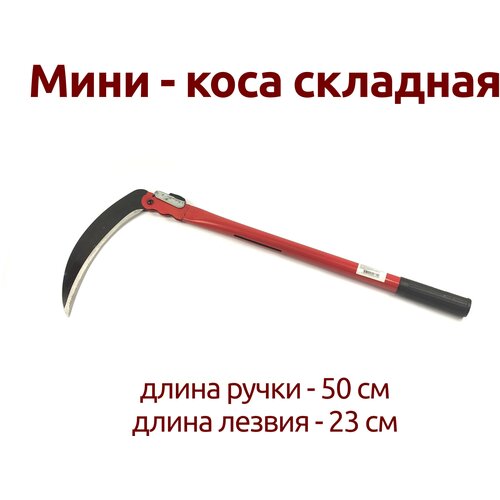 ���� ����-���� 50�� �������� ������ ������