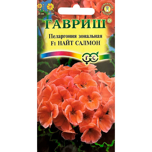 ���� ������. ���������� ��������� 