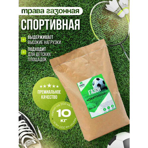 ���� �������� �����, ������, ���������� ����������, 10 �� ������ ������