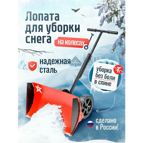 ���� C������������� ������ ������������� �� ������� � ������� ������ ������