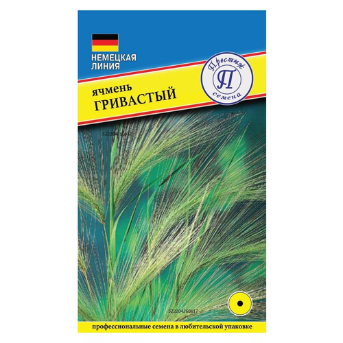     (Hordeum jubatum) (0,15 )   -     , -, 