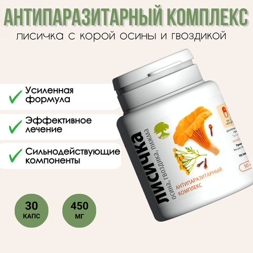 ���� ���������������� �������� 