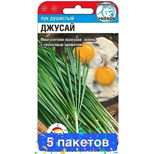 ���� ������ ������ ��������� ��� 