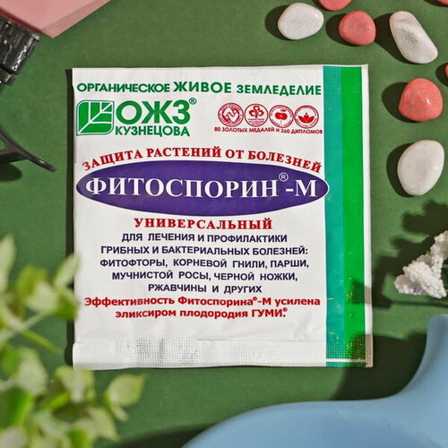 ���� ����������� �� ������������� � ������� �������� �������� ����������-�, 10 �, 4 ��. ������ ������