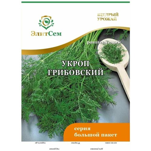 ���� ������ ����� ���������� BIG �������� XXXL 10 � (�������) ������ ������