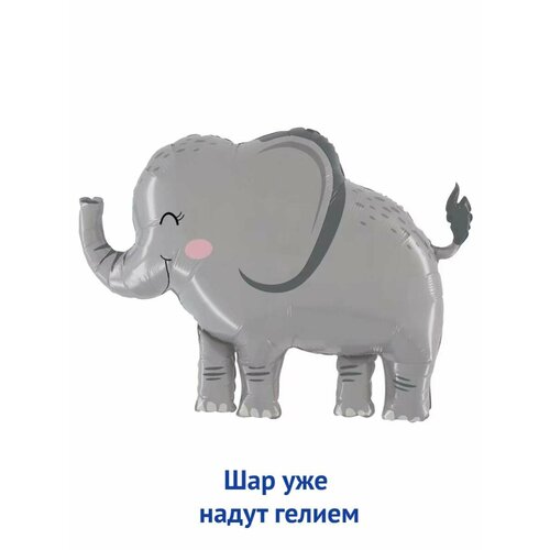 ���� ��������� ��� � ������ �������������� ������ ������ ���� ������ ������