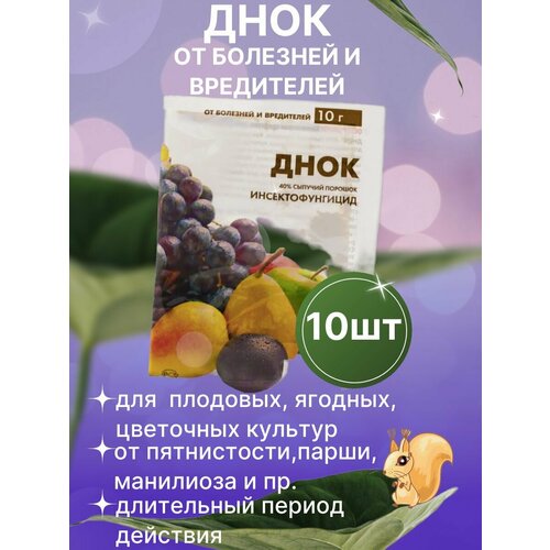 ���� ���� ������ �������� �� ��������� � ���������� 10 �� ������ ������