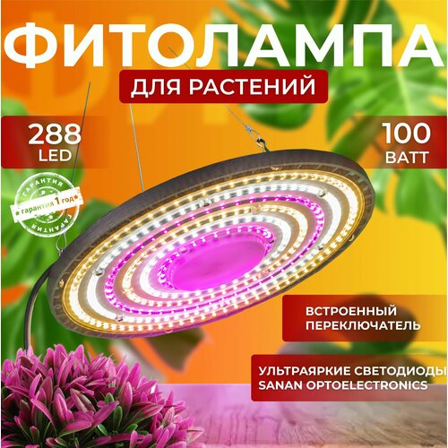          ,  ,  ,     288 LED 100    -     , -, 