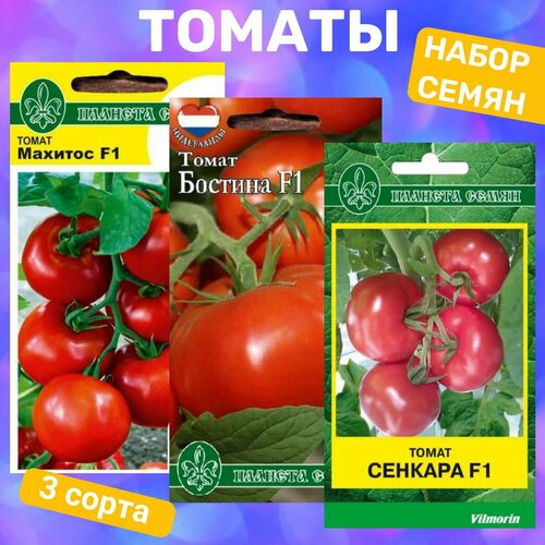 ���� ����� ����� ������� / ������� F1, ������� F1, ������� F1 ������ ������