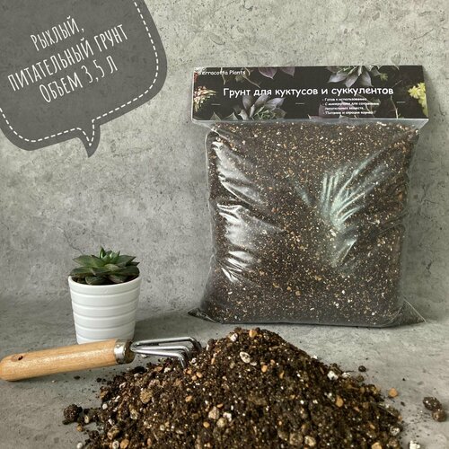 ���� ������� ����� ��� ���������� � �������� Terracotta Plants � �������� 3,5 ����� ������ ������