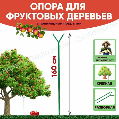 ���� ����� ������� ��� ��������� �������� 1,6 � Gestia Home ������ ������