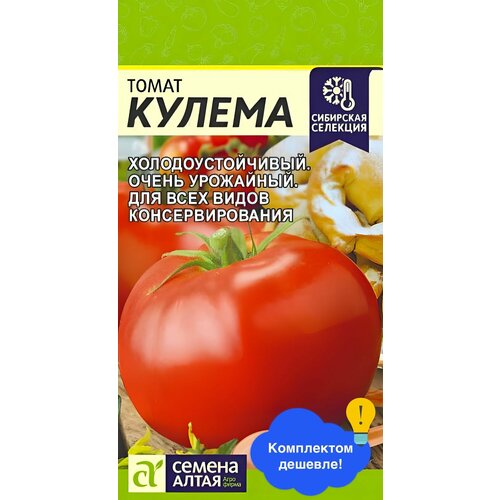 ���� ������ ������ ������ ����� 