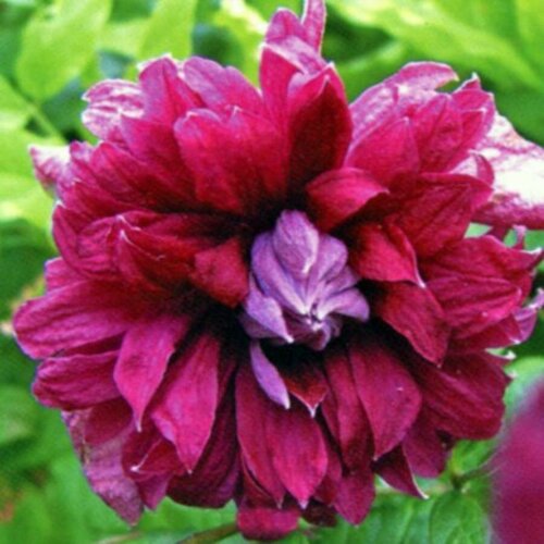 ���� ������ �������� ������������ (������) �������� ����� ������� 0,05 � (1 ��������) ������ ������