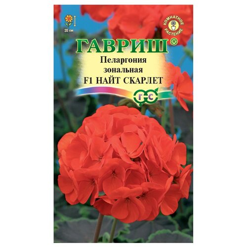 ���� ������ ������ ���������� ���� ������� F1 4 ��. ������ ������