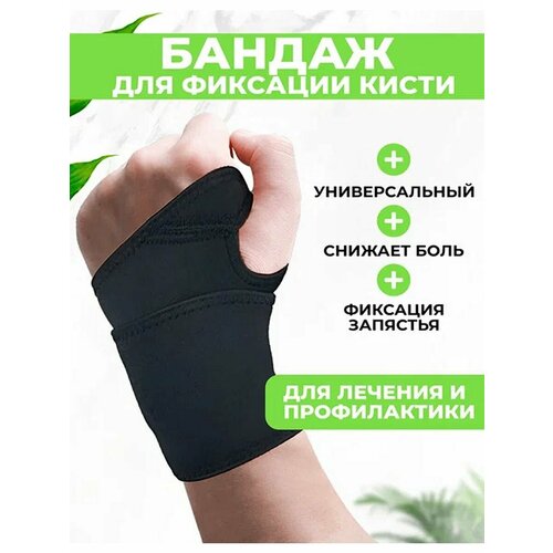 ���� ������ �� �������� QuisLife, ����� ��� ��������� � ������ �������������� ������� ������ ������