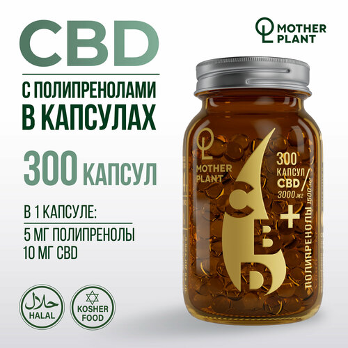   CBD     (300   10 ), Motherplant   -     , -, 