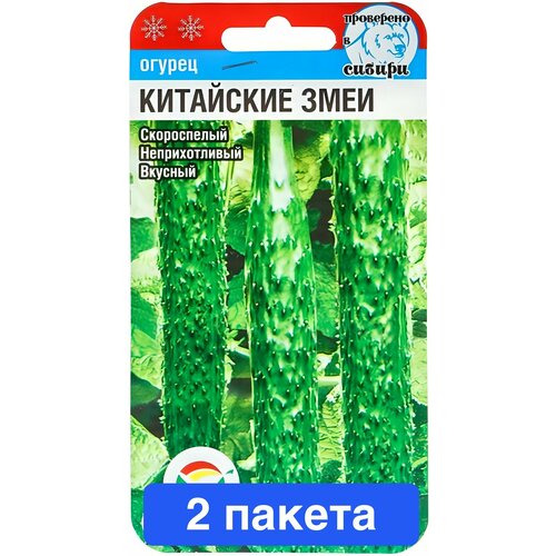 ���� ������ ������ ��������� ��� 