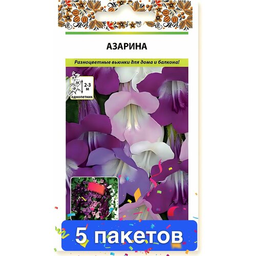 ���� ������ ������ ������� ������ 