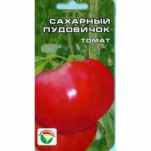 ���� ������ ����� �������� ��������� (�����������), ������������, (��������� ���) 20�� ������ ������